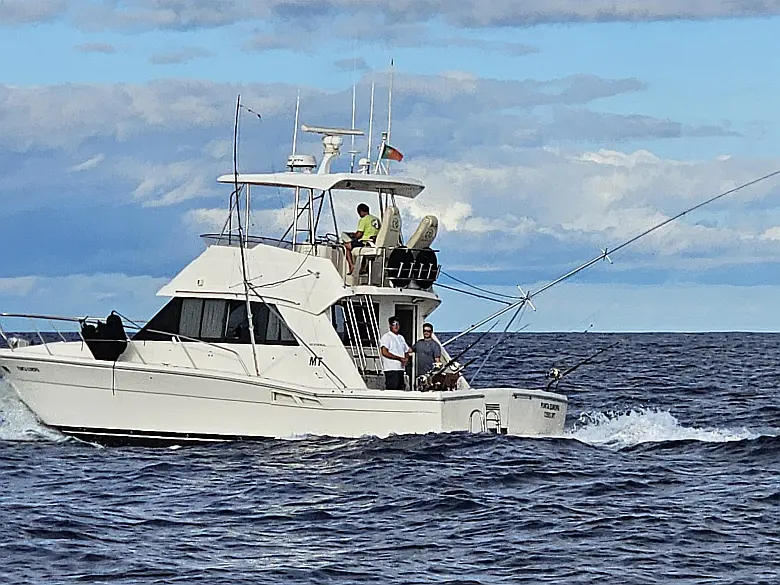 Riviera 39 Open Flybridge