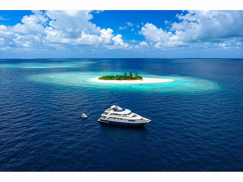 Motoryacht 33M