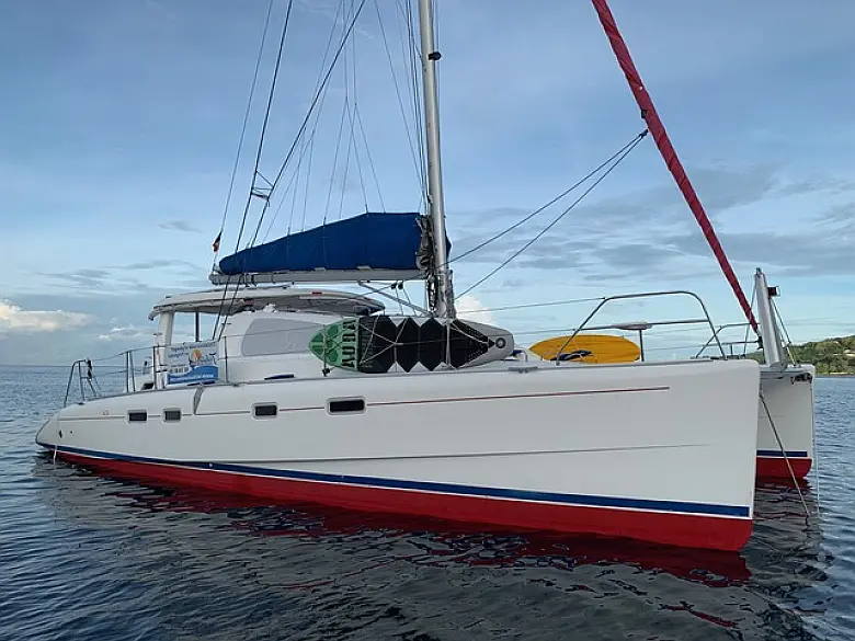 Leopard 43